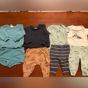 Dinosaur Matching Set Bundle